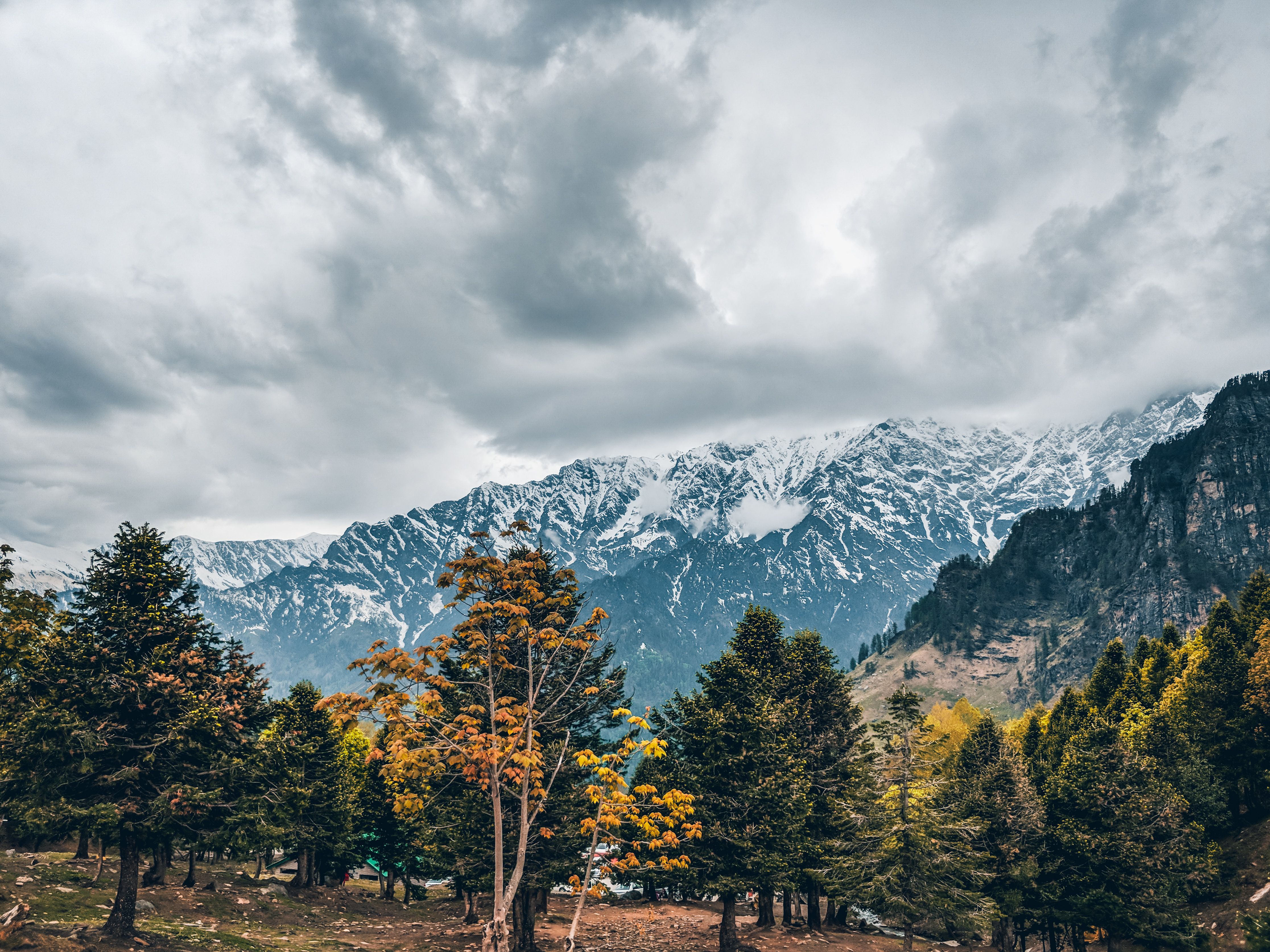 HIMACHAL PRADESH