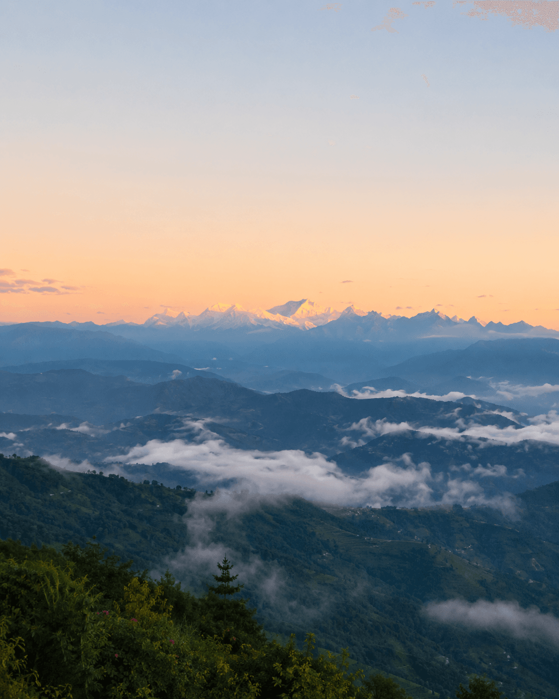 NORTH BENGAL TRIP PACKAGES