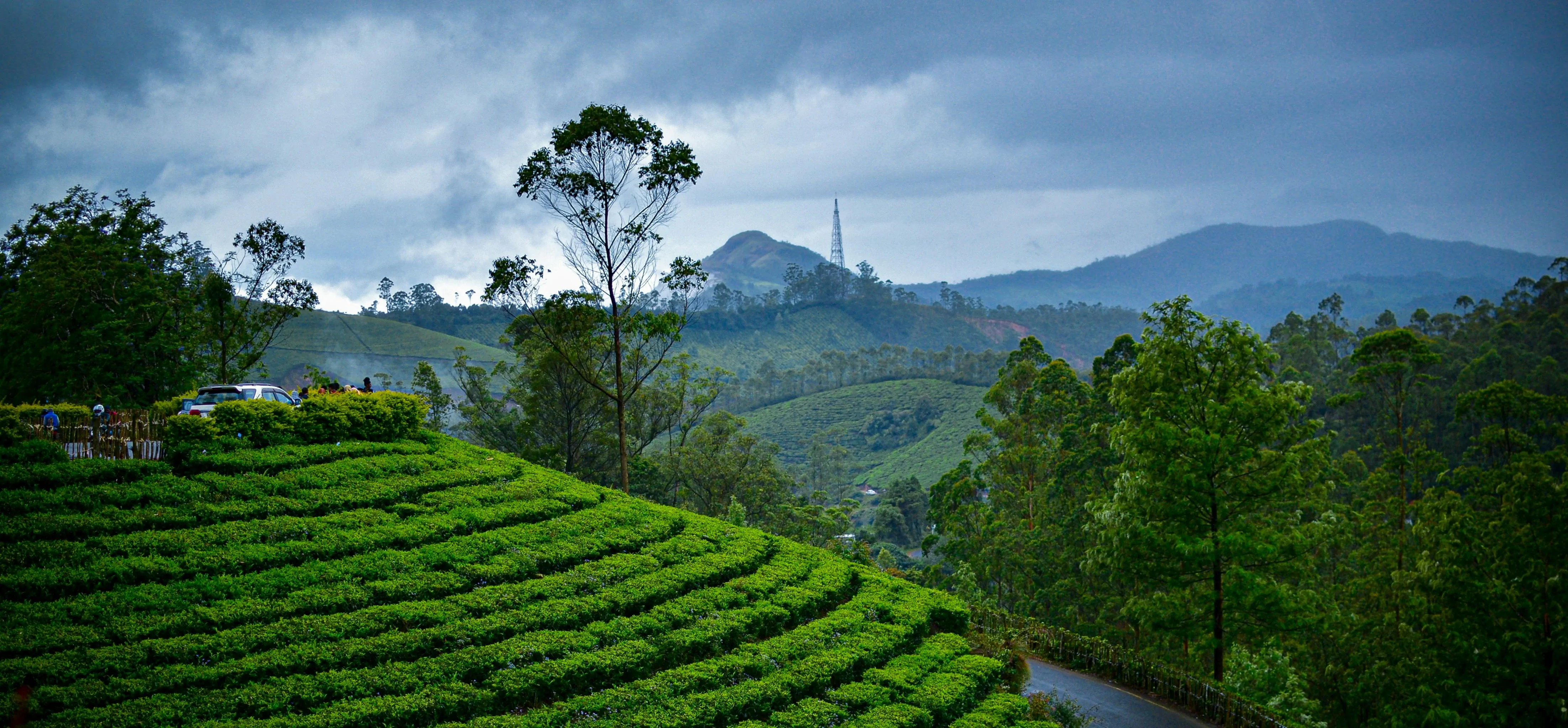 munnar.webp