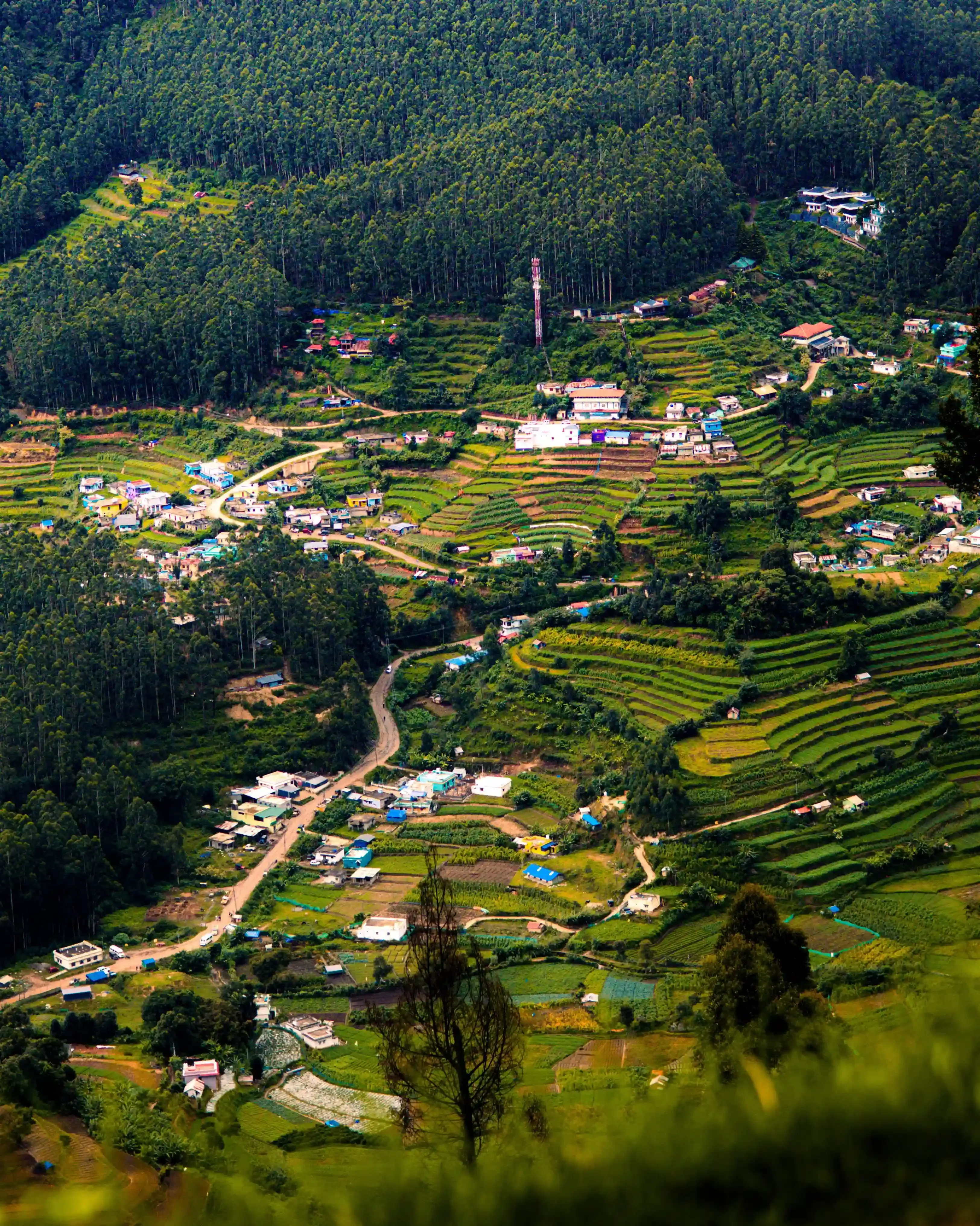 SOUTH INDIA